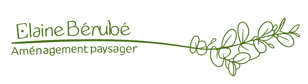Feuille d'eucalyptus décorative